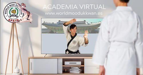 seminario-online-3
