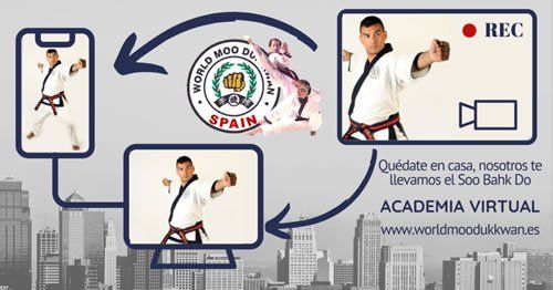 seminario-online-4